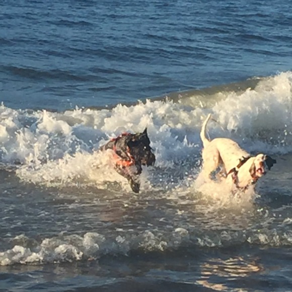 Meet your Posher, Jennifer - Picture 1 of 1